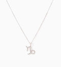 Sterling Silver Zodiac Necklace