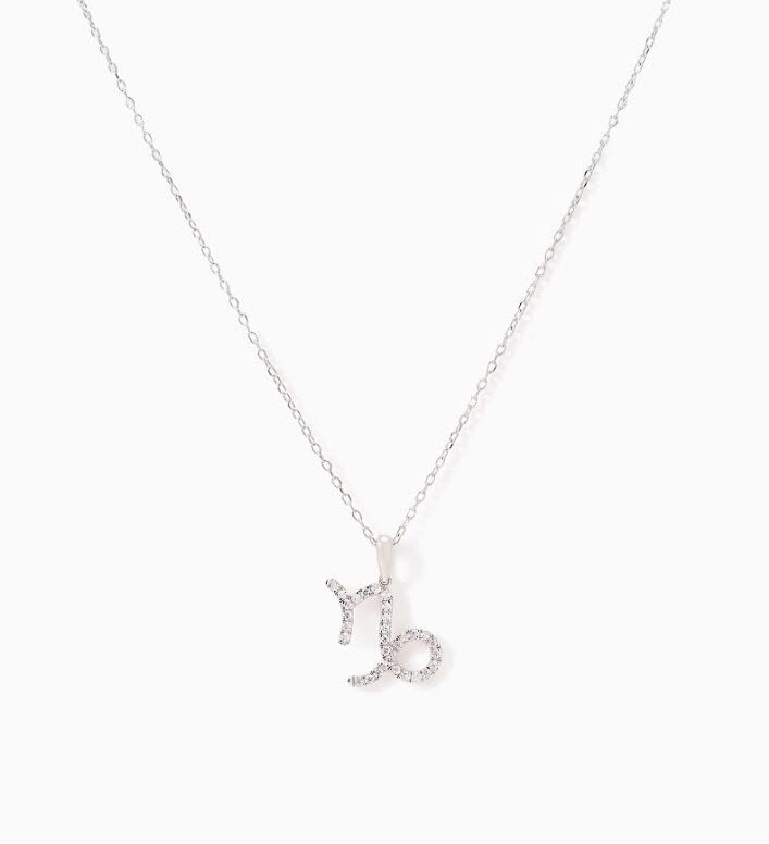 Sterling Silver Zodiac Necklace
