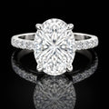 Oval Hidden Halo Show Stopper